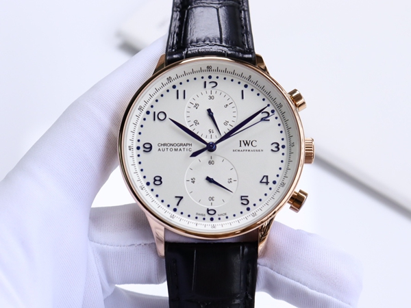 アイ・ダブリュー・シー背面デザイン